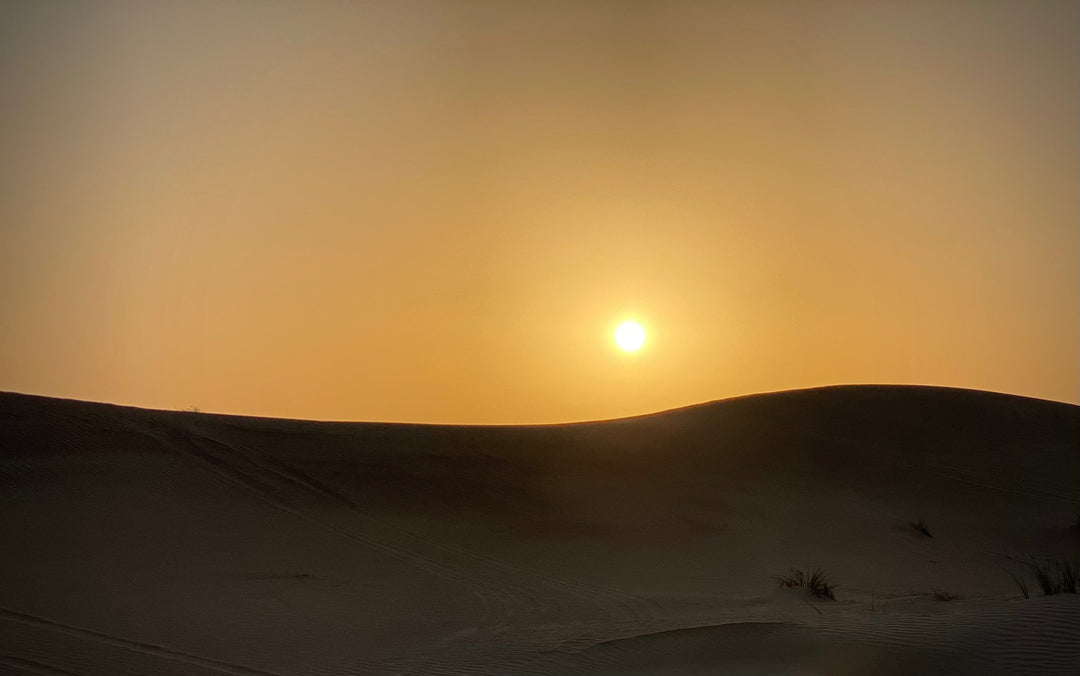 Dubai Al Qudra Desert