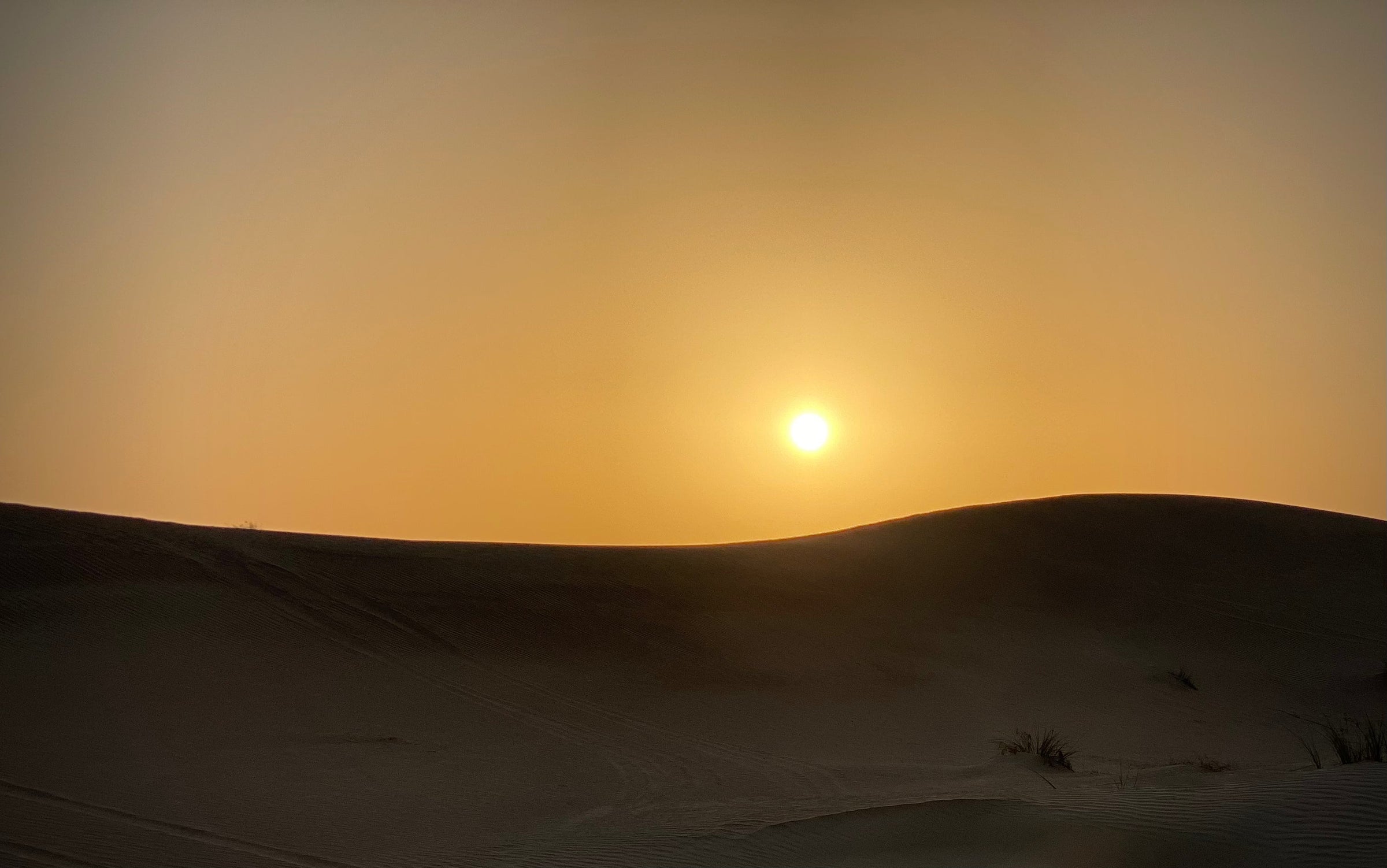 Dubai Al Qudra Desert